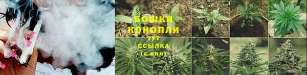 шишки Ладушкин