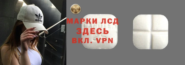 шишки Ладушкин