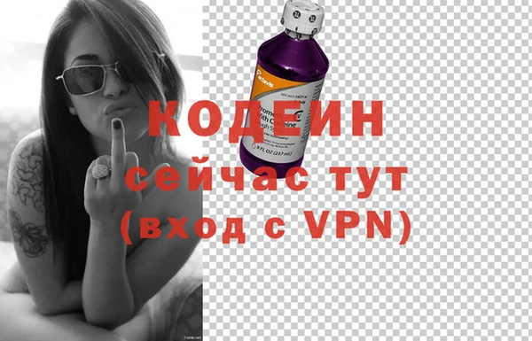 шишки Ладушкин