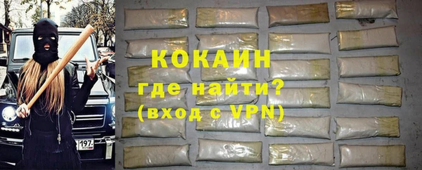 шишки Ладушкин
