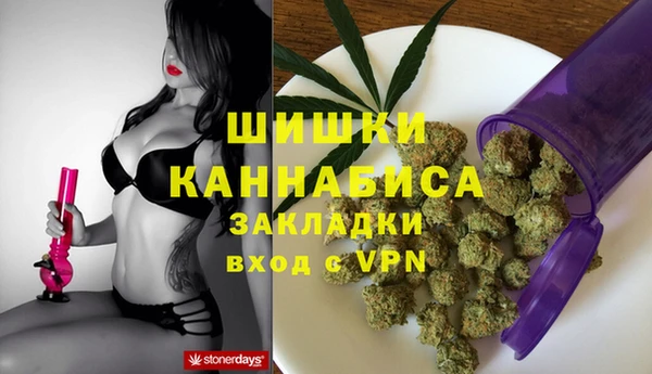 шишки Ладушкин