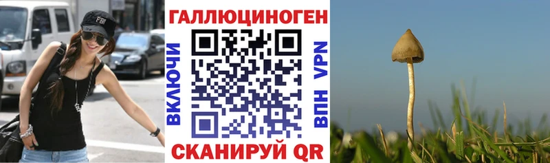 Галлюциногенные грибы GOLDEN TEACHER  OMG рабочий сайт  Мостовской  купить наркоту 